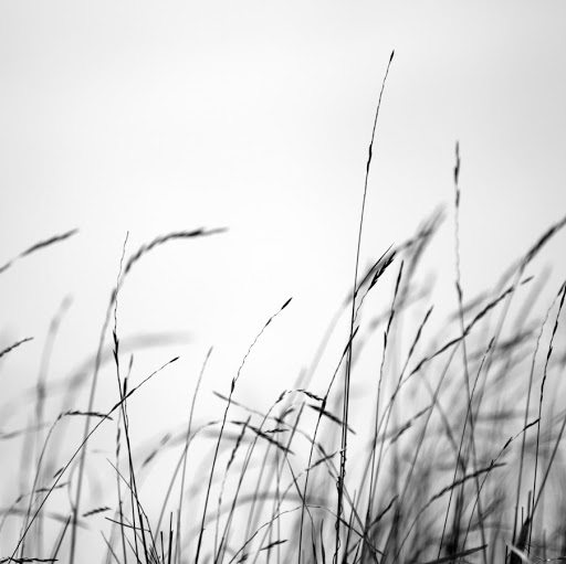 Levi Liu Photo 22