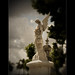 Angel Colon Photo 7