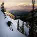 Scotty Anderson Photo 12