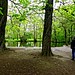 David Slovak Photo 8