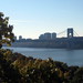 Martin Tryon Photo 9
