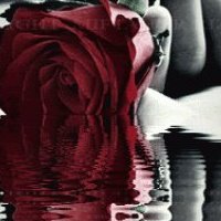 Rose Peterson Photo 10