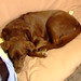 Nancy Bastian Photo 2