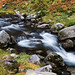 Heather Meadows Photo 5