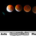 Miguel Avila Photo 2