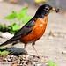 Robin Berry Photo 7