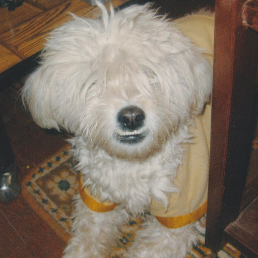 Cesar Juan Photo 17