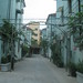 Yong Lu Photo 15