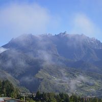 Pui Chan Photo 28