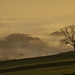 Misty Clark Photo 8