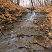 Phil Shaver Photo 7