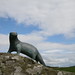 Gavin Galloway Photo 6