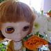 Anne Harrison Photo 7