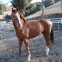 Robin Kelly Photo 39