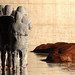 Henri Cohen Photo 10