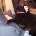 Otis Patrick Photo 4