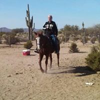 Cindy Hanlon Photo 16