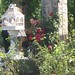 John Manno Photo 11