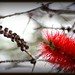 Kathy Huff Photo 9
