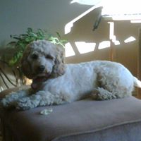Denise Boorman Photo 5
