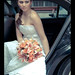 Tiago Freire Photo 7
