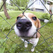 Richard Beagle Photo 9