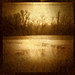 Diana Dykes Photo 6
