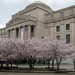 John Schapiro Photo 9