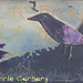 Kerrie Crow Photo 4