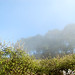 Tuan Pham Photo 8