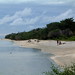 Rachel Stephens Photo 3
