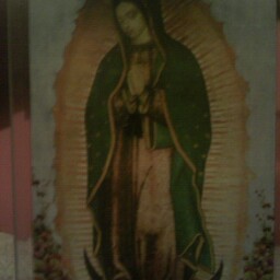 Jose Almendarez Photo 15