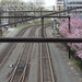 Virginia Plaza Photo 8