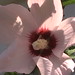 Sharon Southern Photo 3