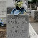 Catherine Schultz Photo 9