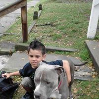 Anthony Gomez Photo 47