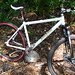 James Frame Photo 12