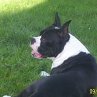 William Dunlap Photo 32