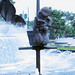 Donald Fountain Photo 8