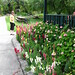 Eileen Clines Photo 3