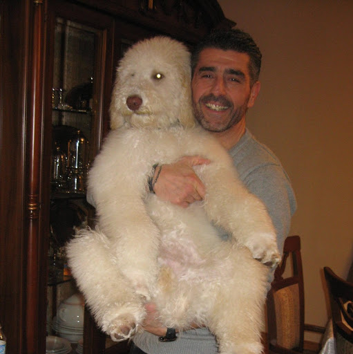 Gianfranco Sorrentino Photo 4