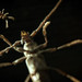Don Garwood Photo 8