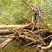 Stephanie Bridges Photo 14