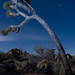 Joshua Arens Photo 1