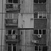 Radu Diaconescu Photo 7