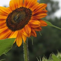 Donna Pilkington Photo 9