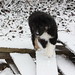 Monty Law Photo 5