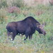 Edward Adair Photo 12