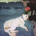 Tasha Younger Photo 9