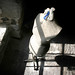 Craig Macduff Photo 6